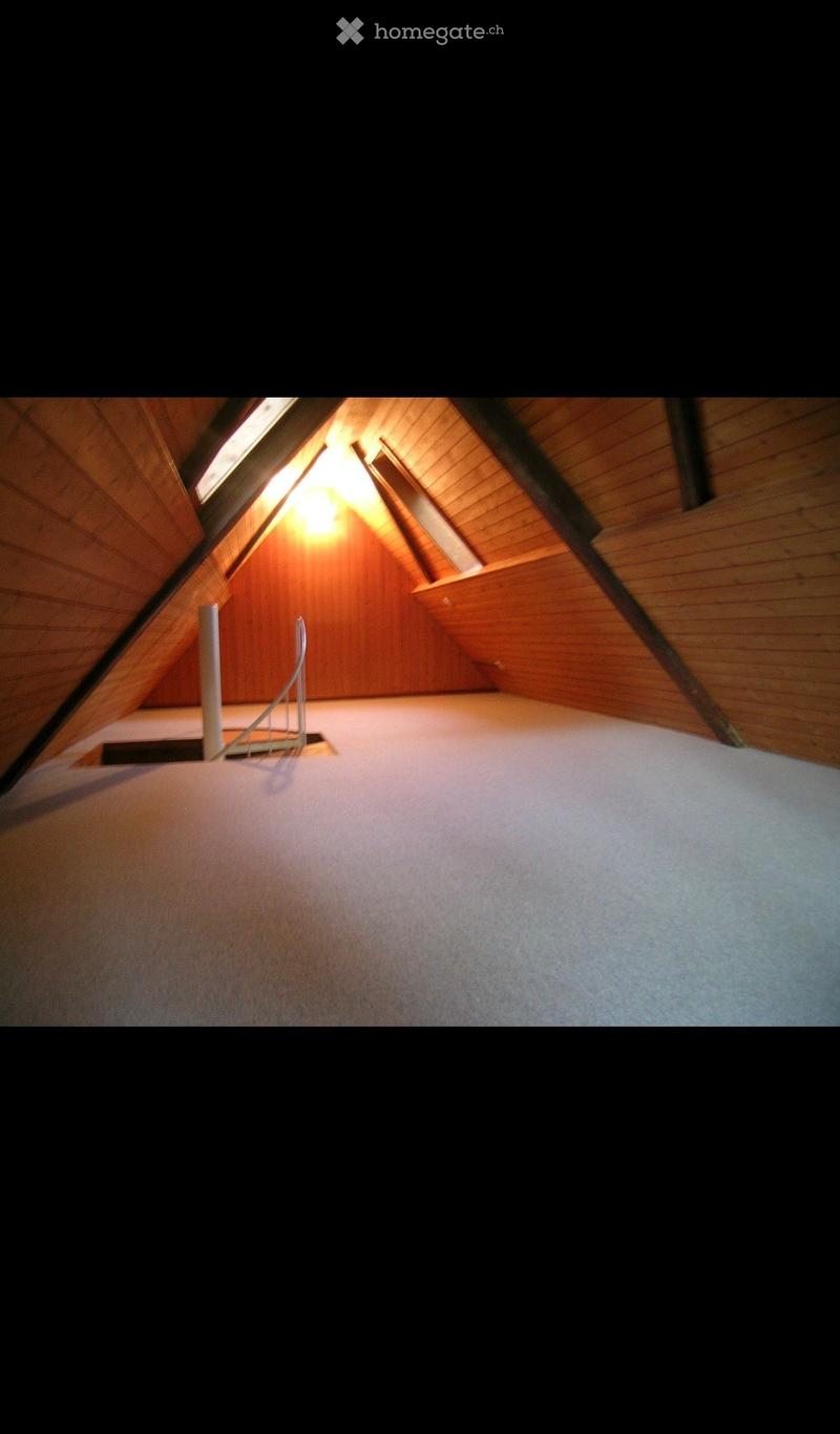 Empty attic space with wooden walls and ceiling, skylight window, and a small staircase leading down.