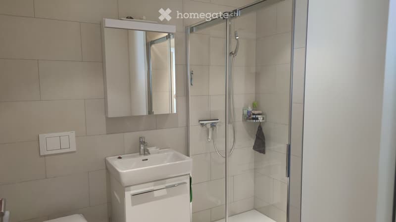 Modern bathroom with a white sink, mirror cabinet, glass-enclosed shower, and tiled walls.