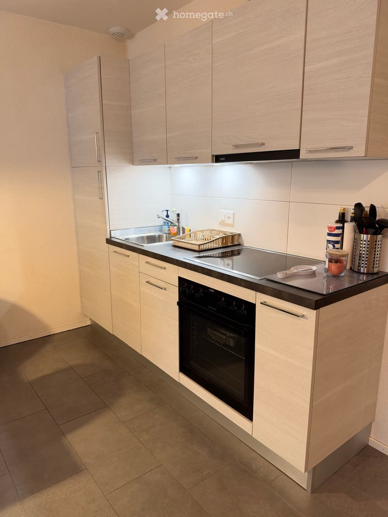 Modern kitchen with light wood cabinets, stainless steel appliances, and a black countertop. Features include an induction cooktop, oven, sink, and various kitchen utensils.