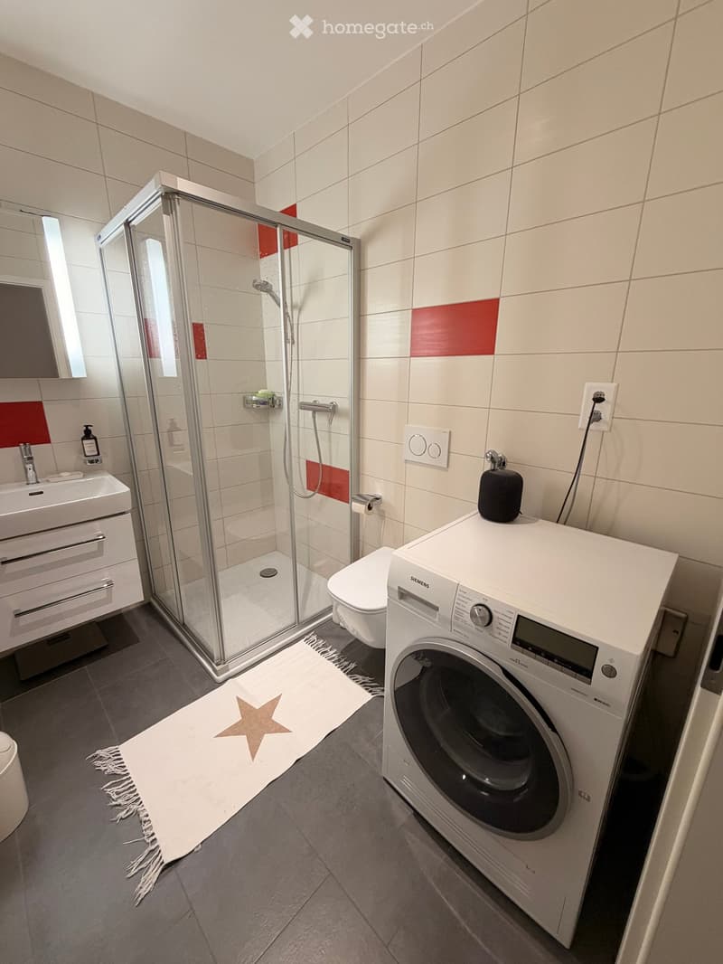 Modern bathroom with a glass-enclosed shower, sink with mirror, toilet, and a washing machine. Features a white bathroom rug with a star design on the floor.