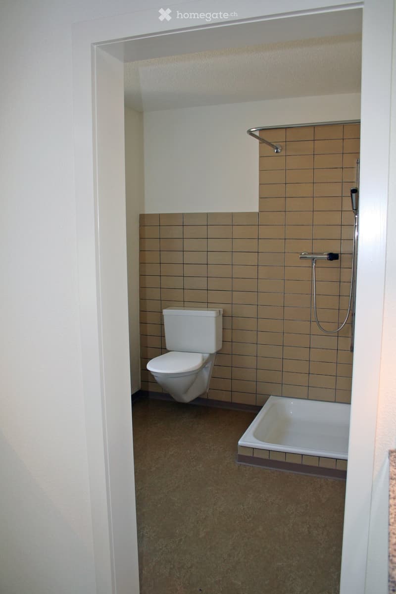 Bathroom with a toilet, bathtub, and showerhead. Brown tiled walls and a brown carpeted floor.