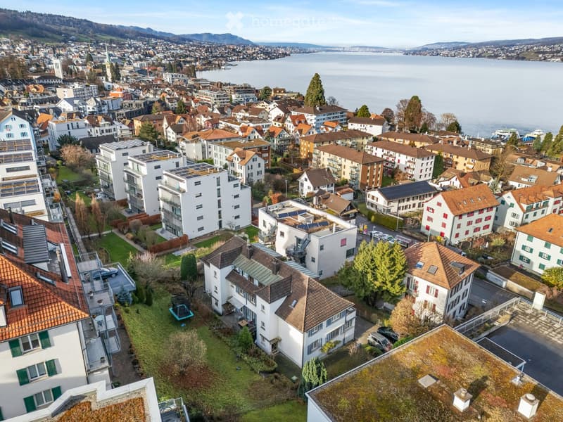 Aerial view of a residential neighborhood with a mix of modern and traditional houses, surrounded by greenery and overlooking a lake and distant mountains.