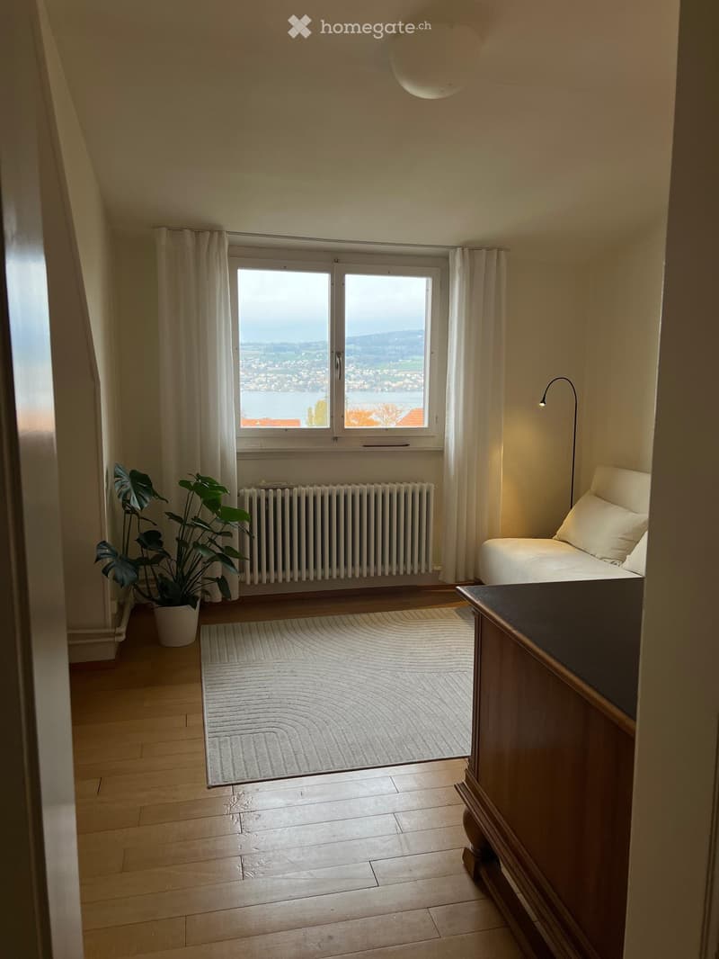 Bright bedroom with wooden flooring, large window offering a scenic view, sofa, potted plant, radiator, and a small table with a lamp.