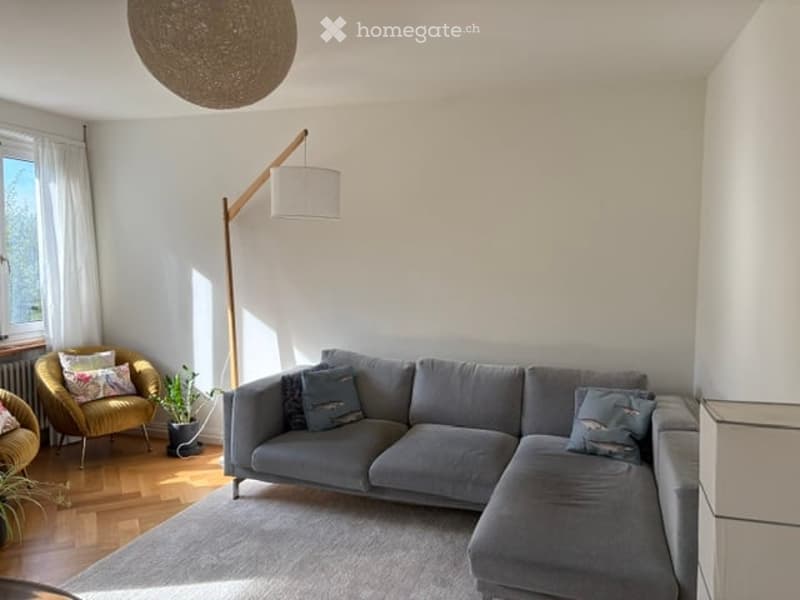 Modern living room with a grey sectional sofa, armchair, floor lamp, and a potted plant on a wooden floor.