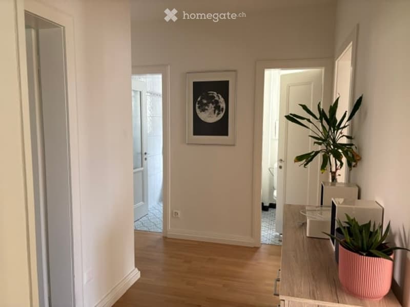 Bright hallway with wooden flooring, white walls, and a framed moon print on the wall. A small table with potted plants is visible on the right side.