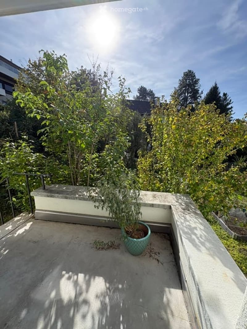 Balcony with a potted plant, surrounded by trees and a clear blue sky.