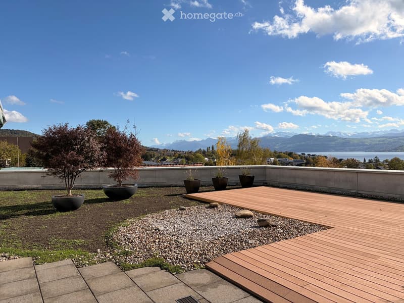A modern rooftop garden with a wooden deck, potted plants, and a scenic mountain view.