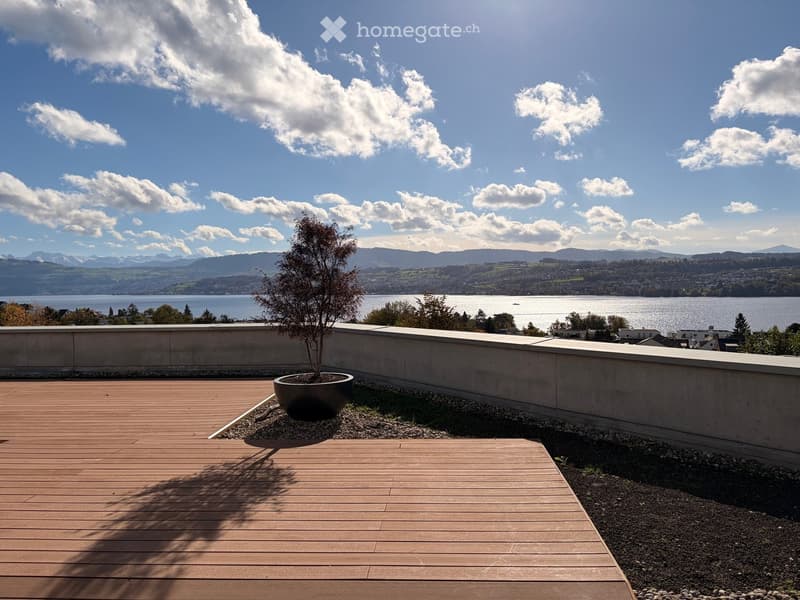Wooden deck with a potted tree, overlooking a scenic lake and distant mountains under a partly cloudy sky.