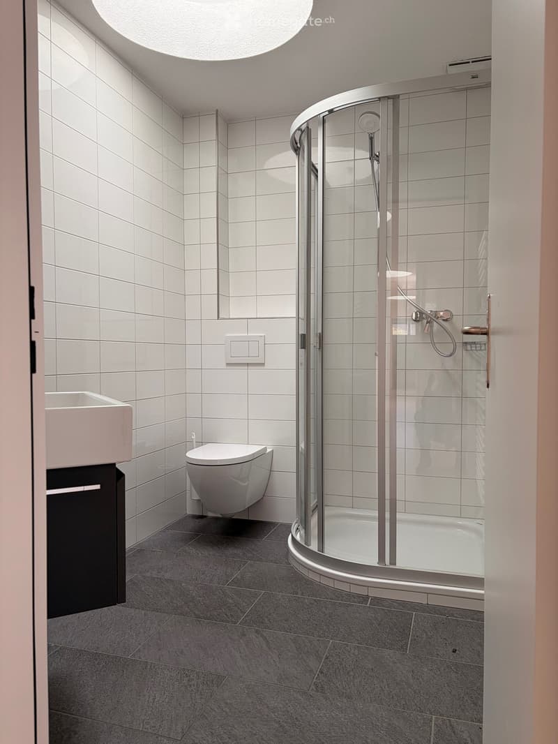 Modern bathroom with white tiles, a corner shower, a toilet, and a sink.