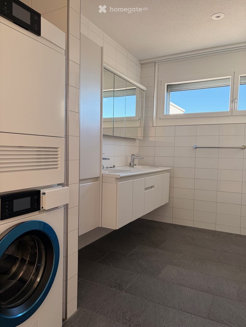 Modern bathroom with a white sink, mirror, and a washing machine. The room features tiled walls and a dark tiled floor.