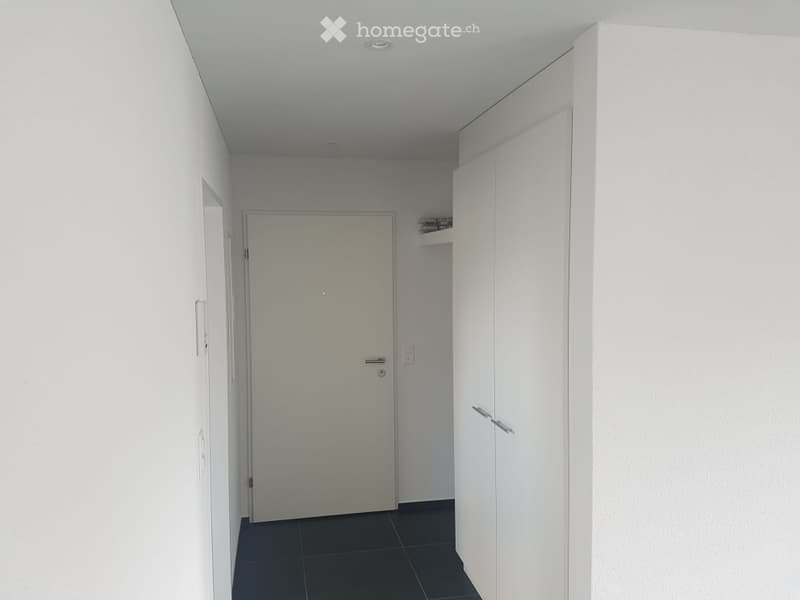 A clean, modern hallway with white walls, dark tiled flooring, and a closed white door at the end. There is a built-in white cabinet with a handle on the right side.