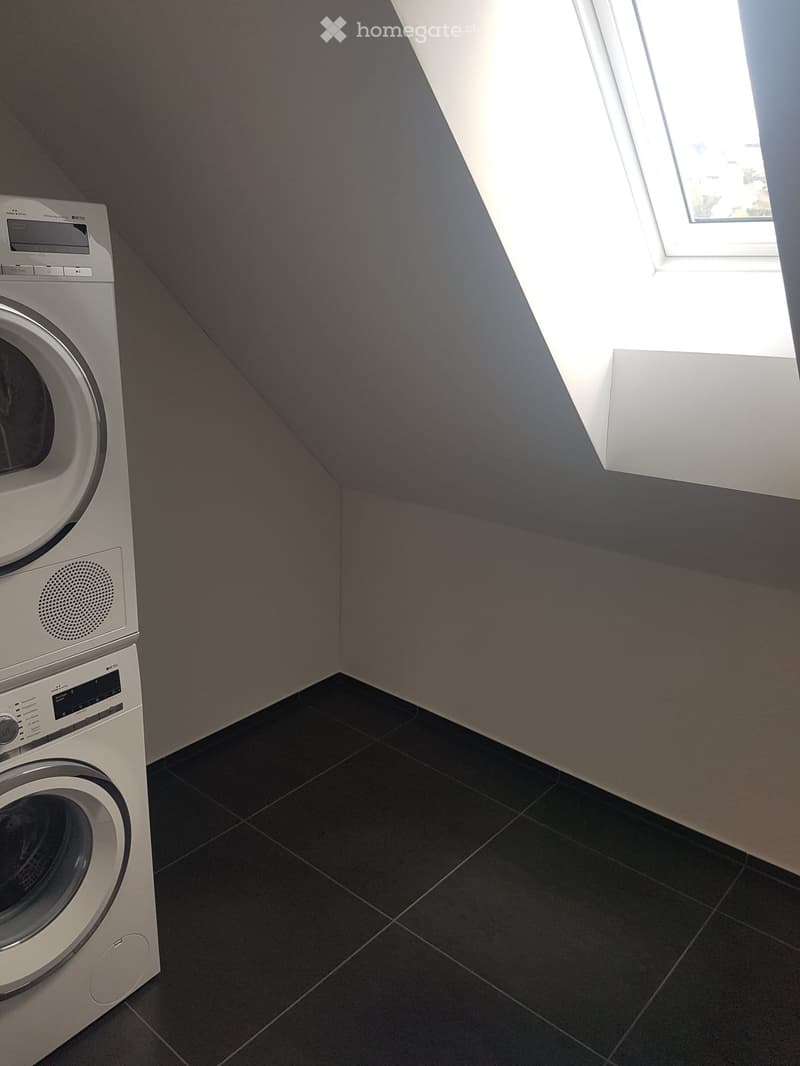 Modern bathroom with dark tiled floor, white walls, and a built-in washing machine. Features a skylight window for natural light.