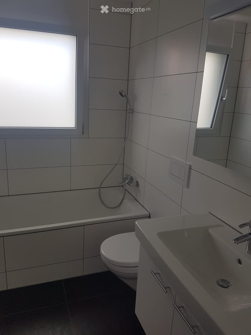 Modern bathroom with grey tiles, a toilet, a sink with a faucet, a mirror, and a showerhead.