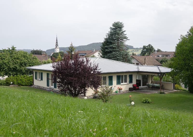 Single-story house with a grey metal roof, green shutters, and a small porch with outdoor furniture. The house is surrounded by a well-maintained lawn and trees, with a distant view of a church spire and hills.