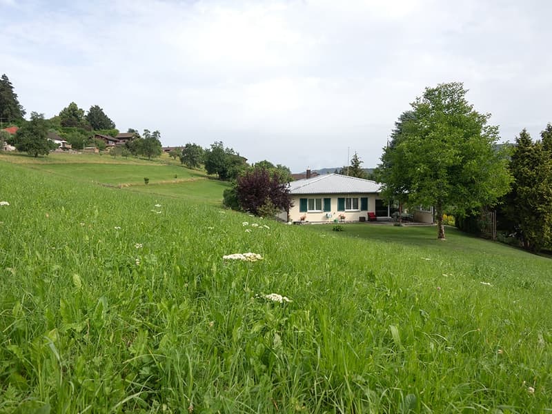 A peaceful rural scene with a small house surrounded by lush green fields and trees, featuring a well-maintained lawn and scattered wildflowers.