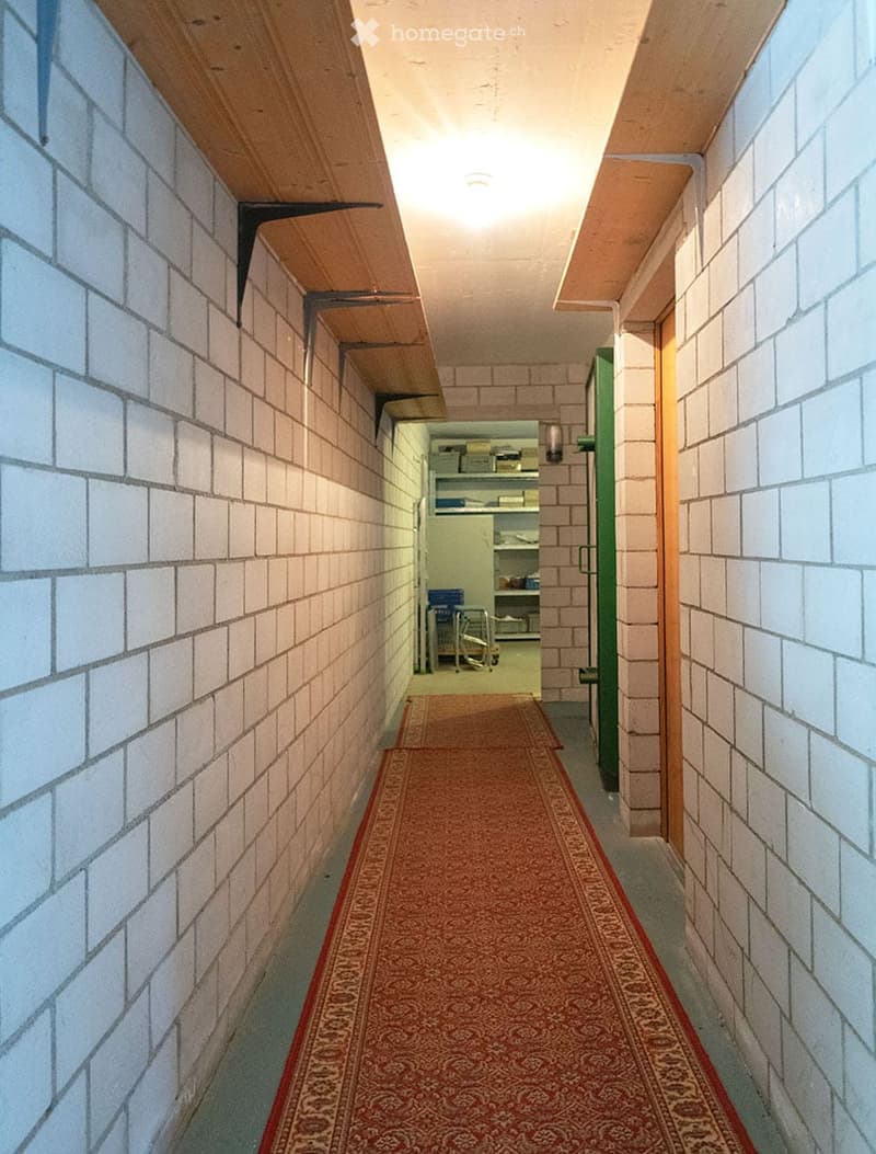 A narrow hallway with brick walls, wooden ceiling beams, and patterned red carpeting. A small storage area is visible at the end.