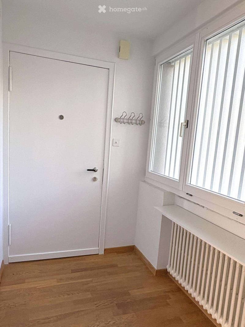 Empty room with light-colored walls, wooden flooring, a white door, and a window with white frames and a radiator below it.
