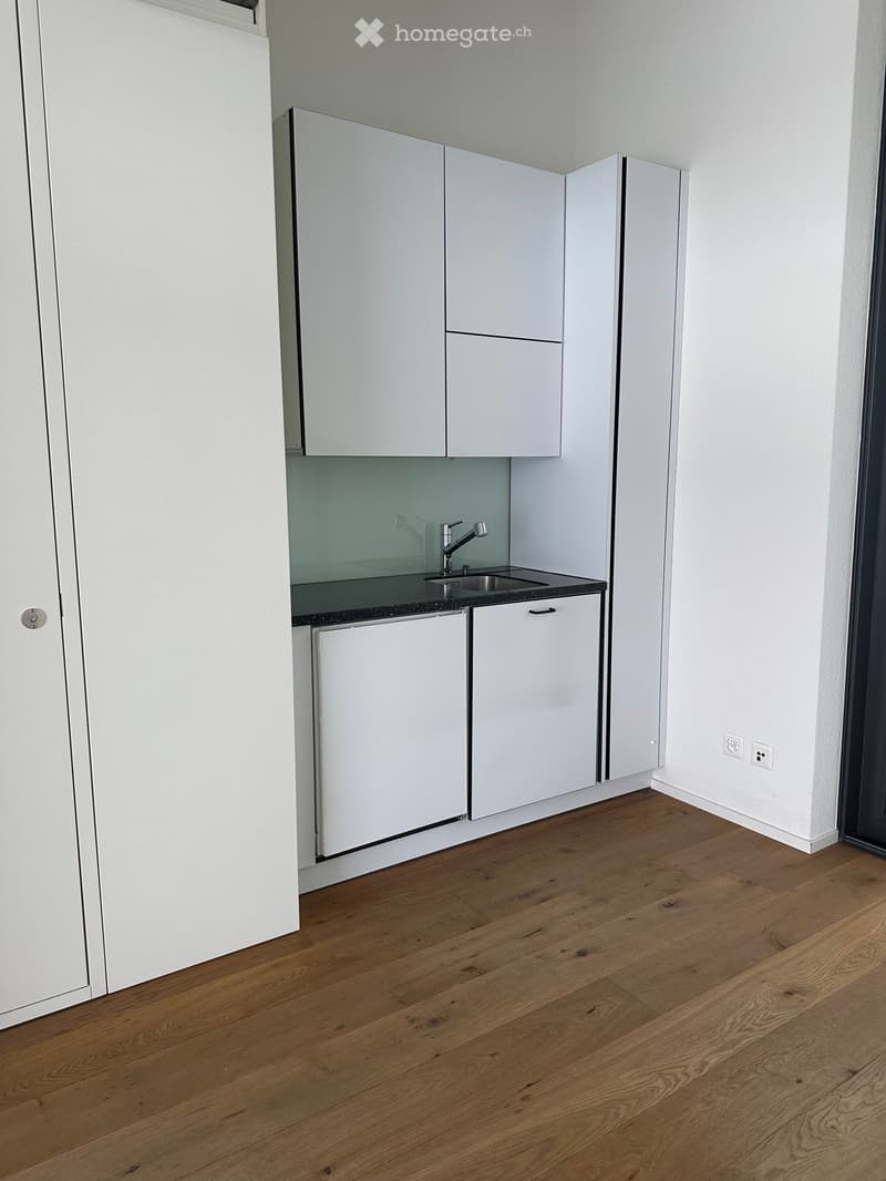 Modern kitchen with white cabinets, a sink, and a faucet, featuring wooden flooring and a sleek design.