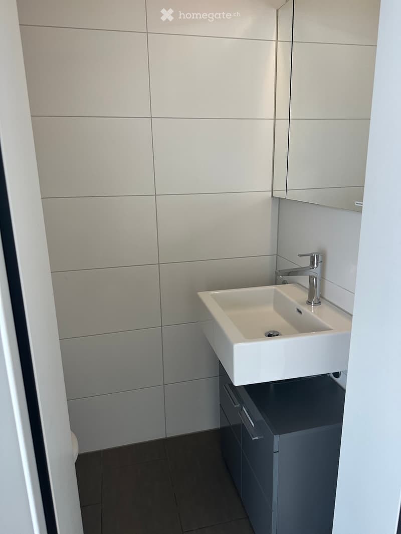Modern bathroom with a white sink, chrome faucet, and dark grey cabinet.