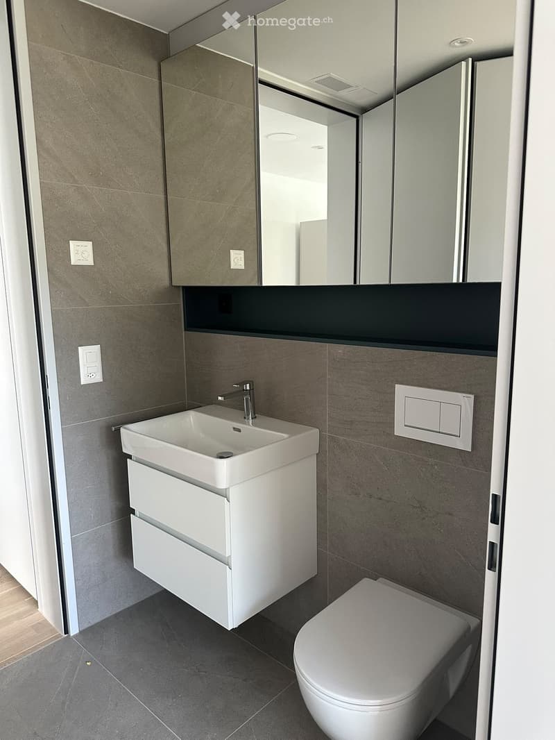 Modern bathroom with a white sink, faucet, mirrored cabinet, and toilet. Grey tiled walls and floor.