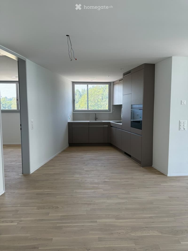 Empty kitchen with light grey cabinets, wooden flooring, and large windows allowing natural light. No appliances or furniture are present.