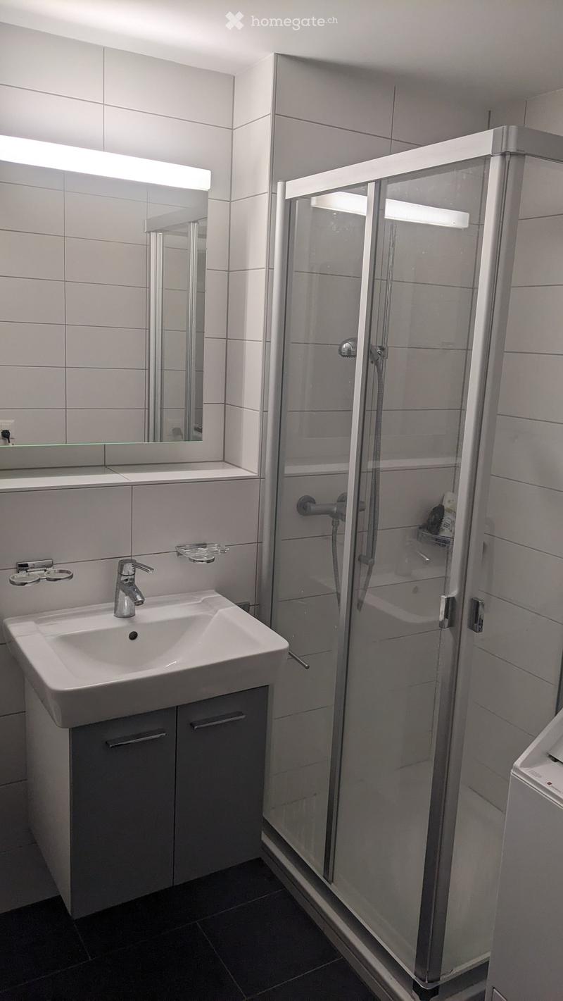 Modern bathroom with a white sink, chrome faucet, large mirror, and a glass-enclosed shower stall.