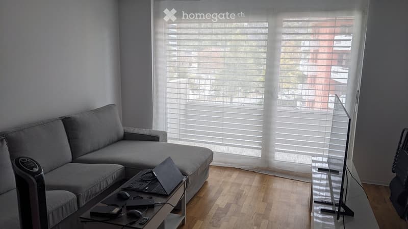 Living room with grey sectional sofa, coffee table with laptop and fan, television on stand, large windows with blinds, wooden floor.