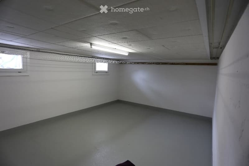 Empty room with white walls, grey floor, and two small windows allowing natural light. No furniture or equipment present.