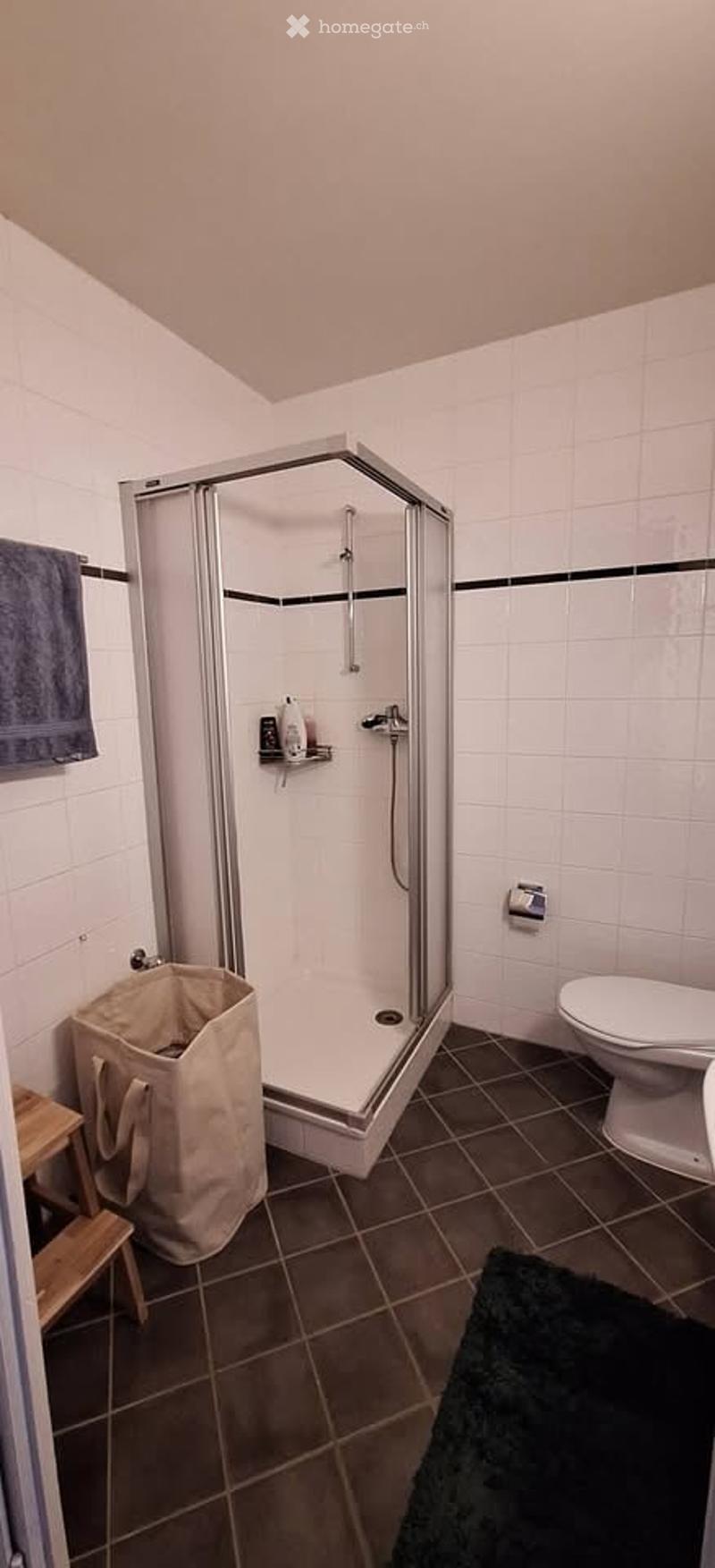 Modern bathroom with a glass-enclosed shower, toilet, wooden stool, towel, and a black rug on the floor.