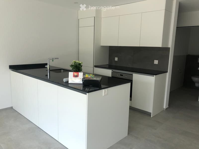 Modern kitchen with white cabinets, black countertops, a sink, and a small flower arrangement on the counter.