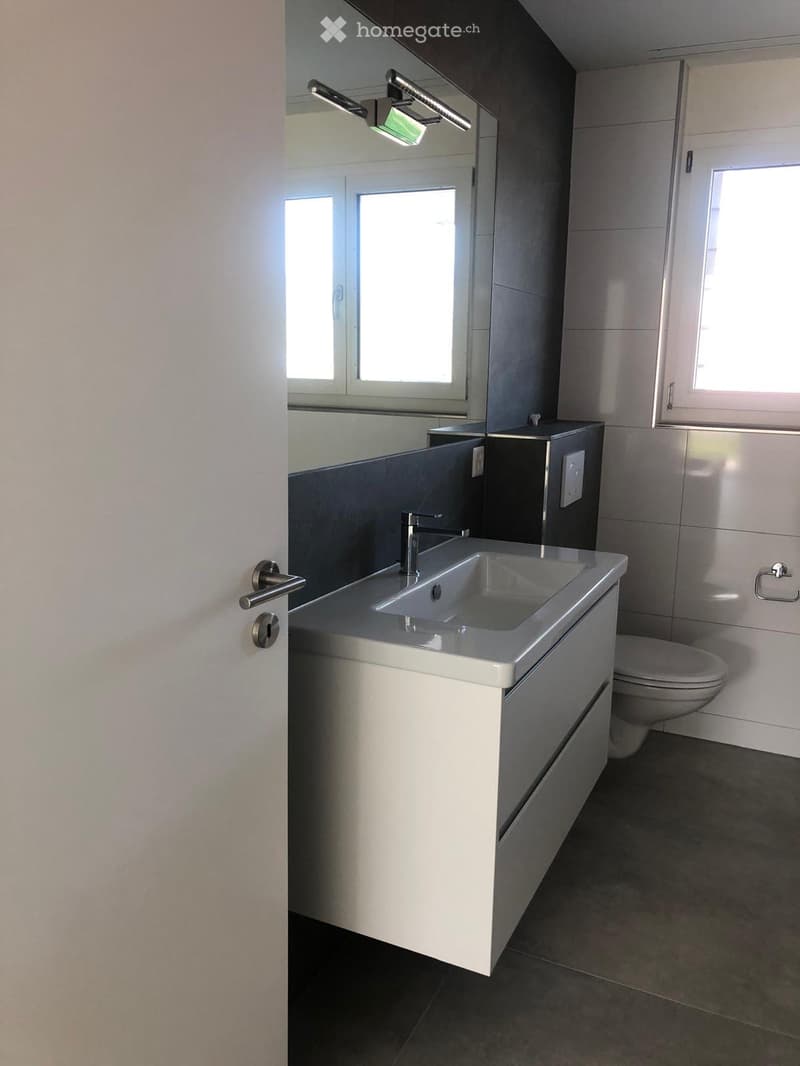 Modern bathroom with a white sink, chrome faucet, large mirror, and a toilet. The walls are tiled in dark gray, and the floor is dark gray tile.