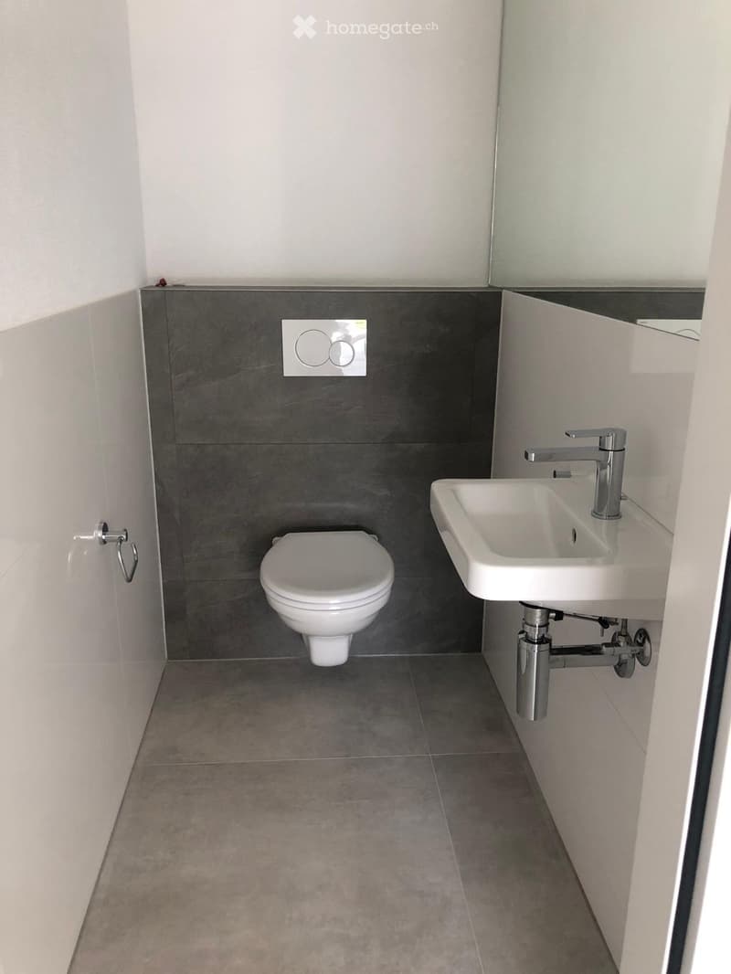 Modern bathroom with a white toilet, a white sink with a chrome faucet, and grey tiled walls and floor.