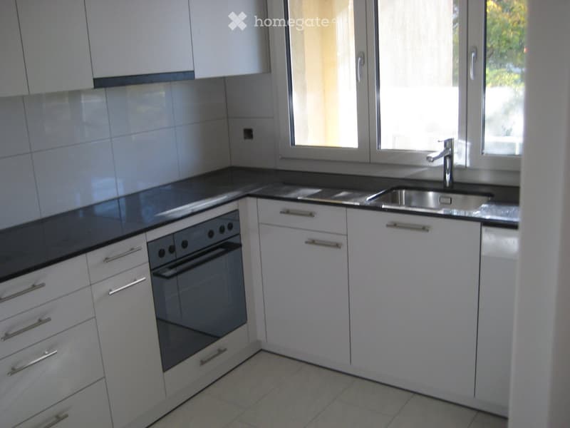 Modern kitchen with white cabinets, stainless steel sink, and built-in oven. Features a black countertop and tiled backsplash.