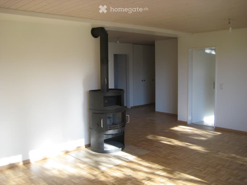 Empty room with wooden flooring, white walls, and a black wood-burning stove with a chimney. Sunlight streams in from a glass door on the right.