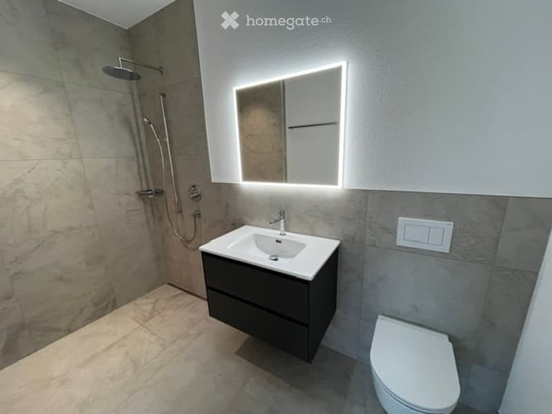 Modern bathroom with a sleek black vanity, a large mirror with LED lighting, a toilet, and a shower with multiple spray options.