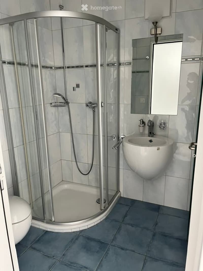 Modern bathroom with a glass-enclosed shower stall, a white sink with a modern faucet, a mirror, and a toilet. The walls are tiled in light gray, and the floor is covered with dark gray tiles.