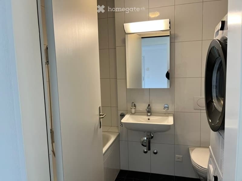 Modern bathroom with a white sink, mirror, bathtub, toilet, and a private washing machine.