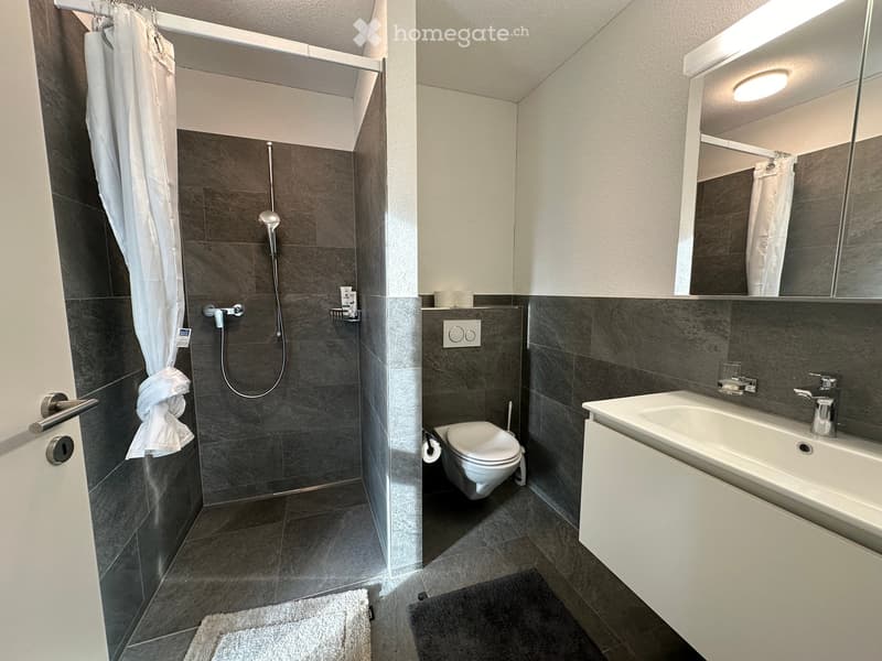 Hautiere erwünscht! Hochwertige  Wohnung in Kaltenbach bei Stein am Rhein (9)