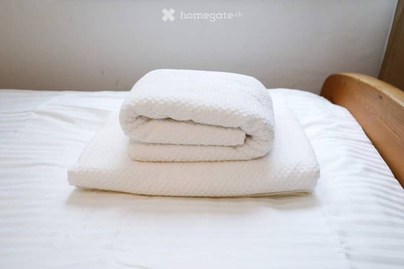 Helle  3.5 Zimmer Wohnung nähe Sihlcity (36)