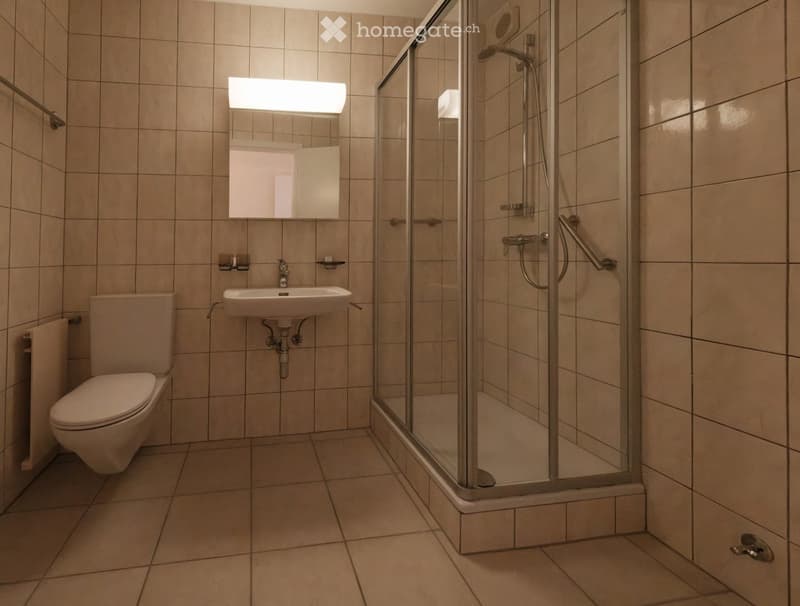 Modern bathroom with tiled walls and floor, featuring a toilet, sink with mirror, and a glass-enclosed shower with a handheld showerhead.