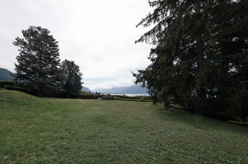 A spacious, well-maintained lawn surrounded by tall evergreen trees, with a distant view of mountains and a body of water.