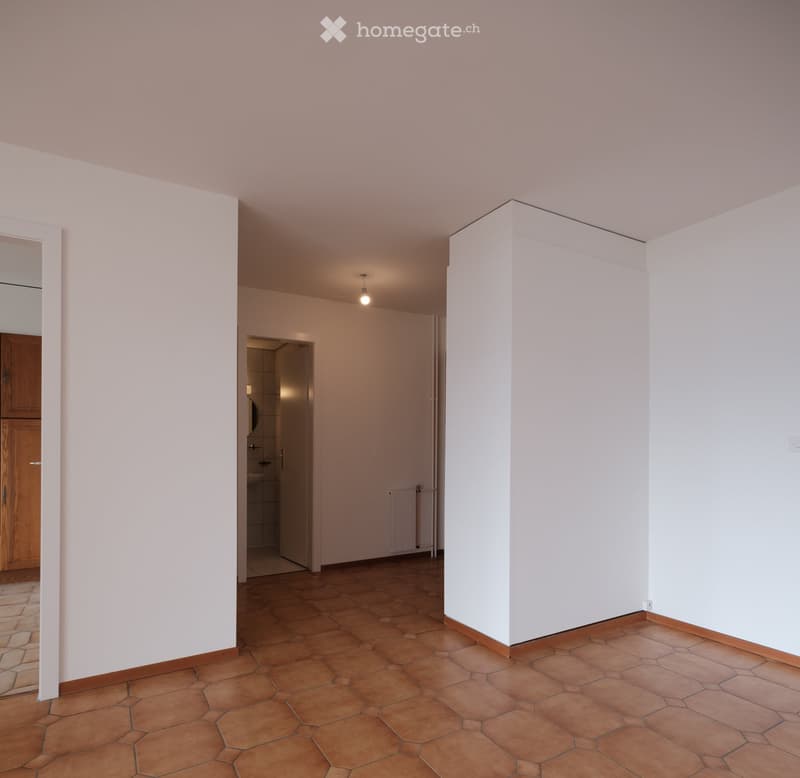 Empty room with light-colored walls, hexagonal terracotta tiles, and a visible doorway leading to another room.