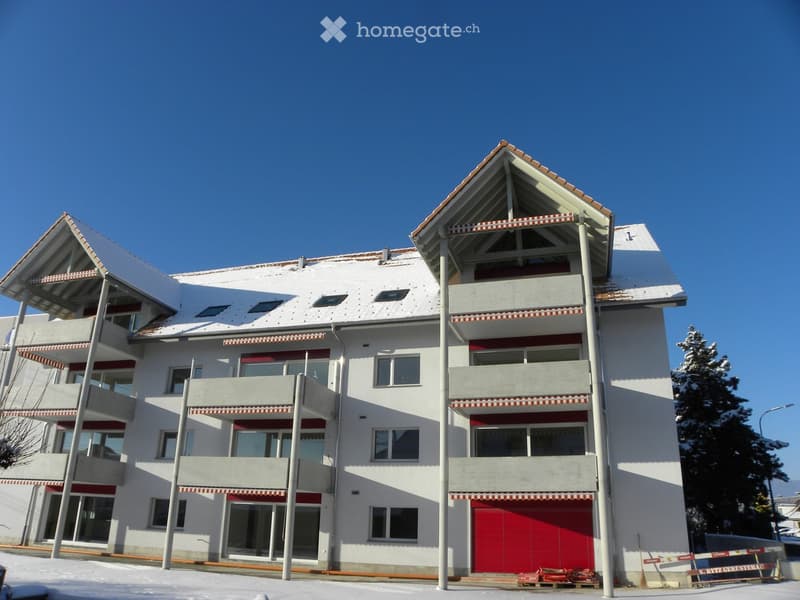 Schöne 3.5 Zimmer - Wohnung im 1.Stock (1)