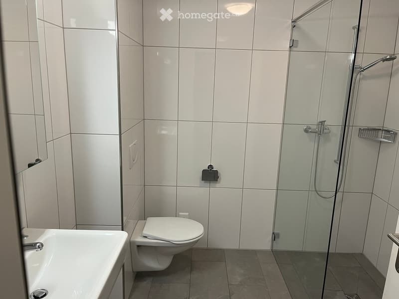 Schöne 3.5 Zimmer - Wohnung im 1.Stock (7)