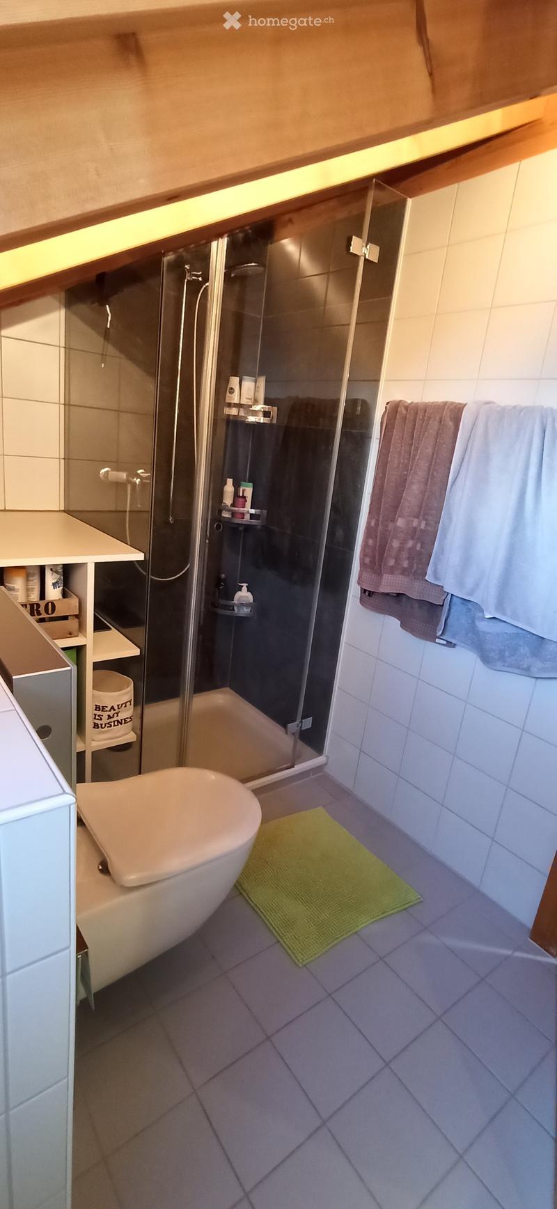 Modern bathroom with a toilet, glass-enclosed shower, towel rack, and a small cabinet. The floor is tiled, and there is a green bath mat in front of the toilet.