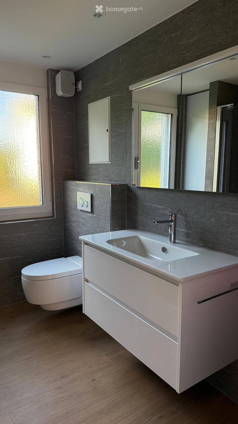Modern bathroom with dark grey walls, white sink, chrome faucet, white toilet, and large mirror above the sink.