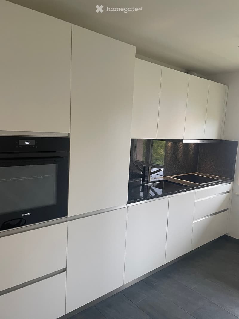 Modern kitchen with white cabinets, a built-in Siemens oven, a sink with a modern faucet, and a dark countertop.