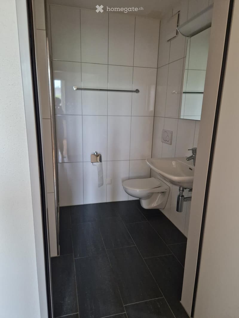 Modern bathroom with black tiled floor, white tiled walls, a toilet, a sink with a mirror, and a glass-enclosed shower area.