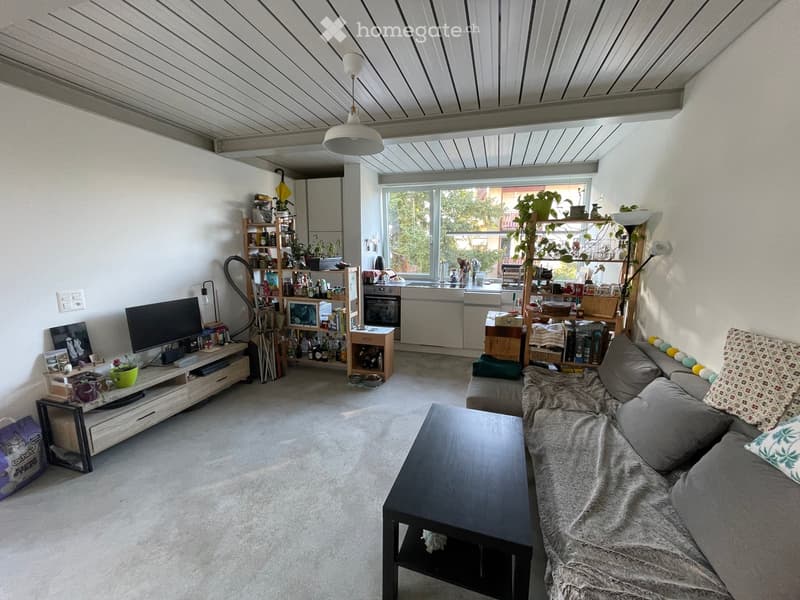 A modern, open-concept living and dining area with a grey sectional sofa, coffee table, TV stand, shelves, and a small kitchen area with appliances.