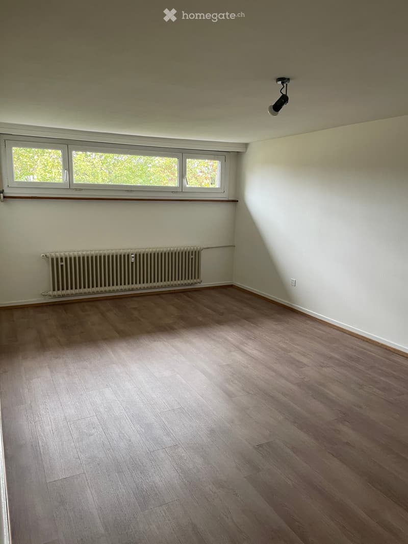 Empty room with light wooden flooring, white walls, large windows, radiator, and a ceiling light fixture.